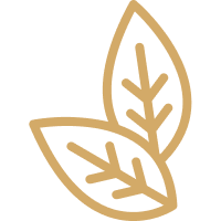 light brown leaves icon