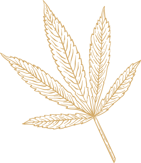 Cannabis leaf