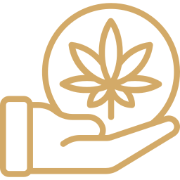 Cannabis leaf in hand icon