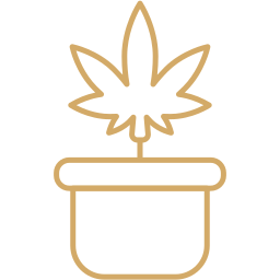 cannabis plant icon
