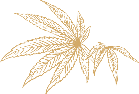 brown cannabis leaf