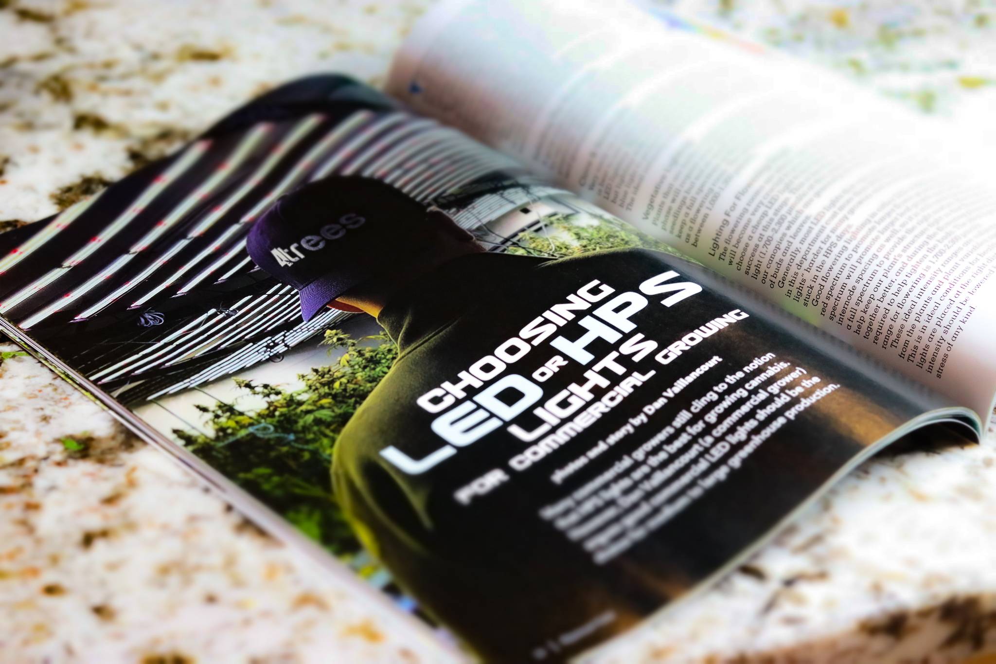 4trees cannabis building owner in a maximum yield magazine
