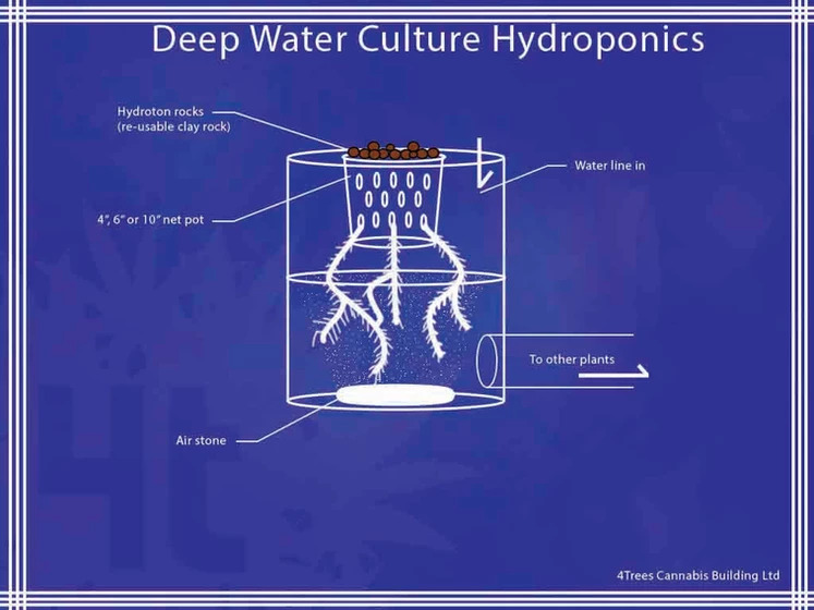 deep water culture hydroponics blueprint