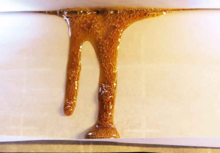 Cannabis being pressed into rosin