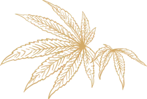 homepage-botanical-leaf-background