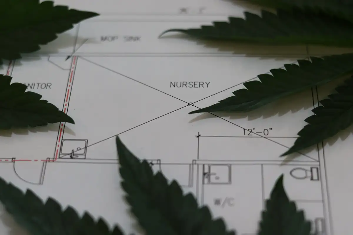 4trees Cannabis Building micro cultivation facility plan and leaves