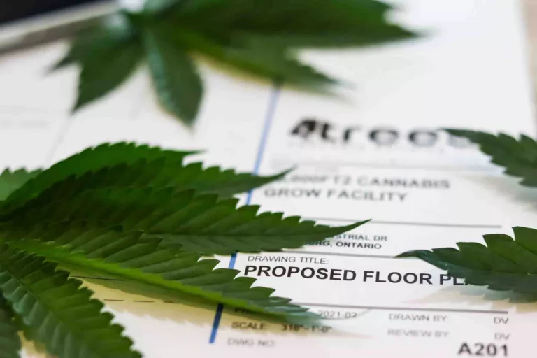 commercial cannabis cultivation facility floorplan by 4trees cannabis building with cannabis leaves on it