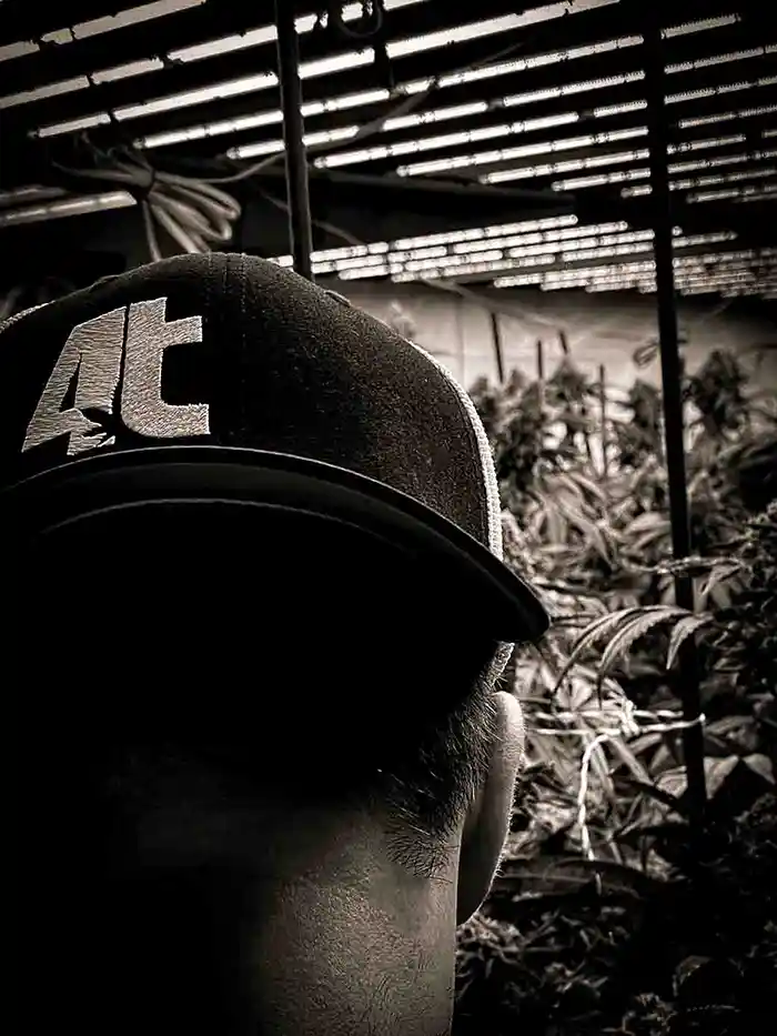 Daniel Vaillancourt looking at indoor cannabis garden with led grow lights in black and white