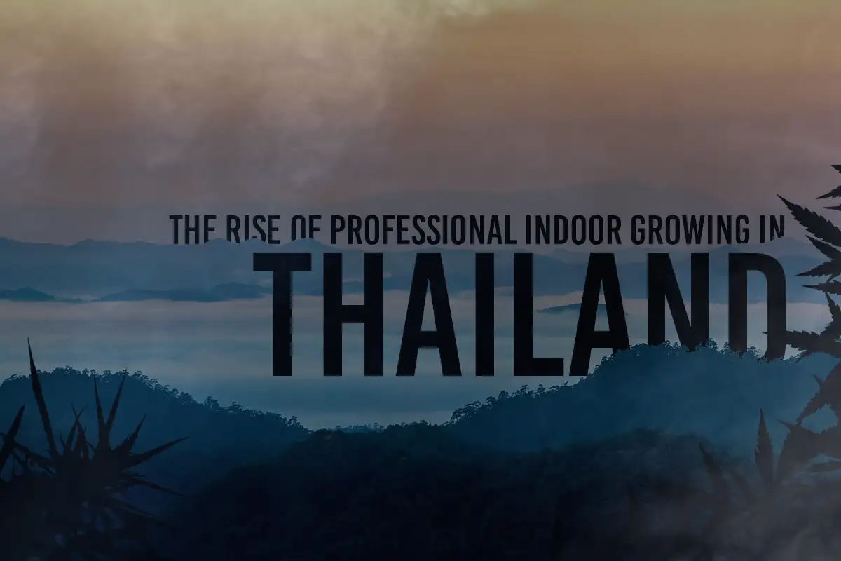 Article cover showing mountains in Thailand and the title to the article "The rise of professional indoor growing in Thailand"