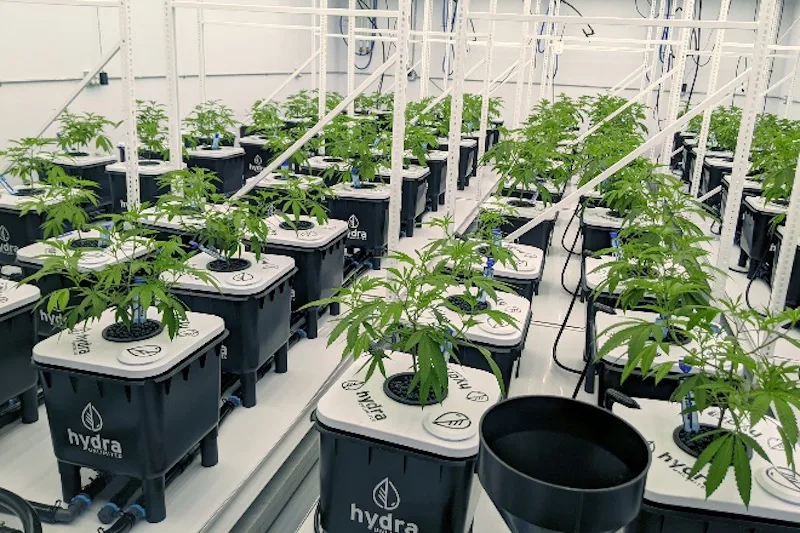 Hydra Unlimited hydroponics growing system