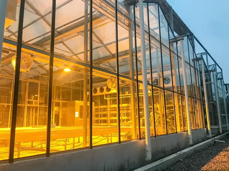 Greenhouse with HPS grow lights