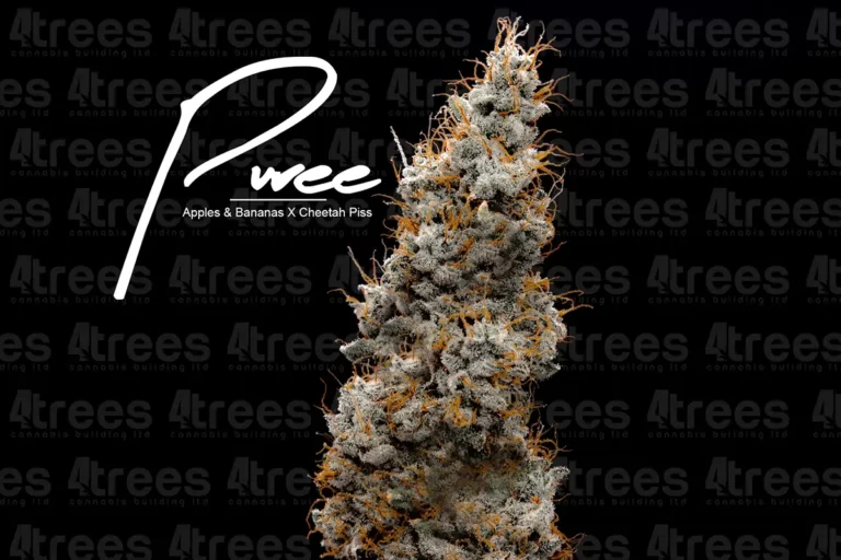 Puree cannabis flower and logo