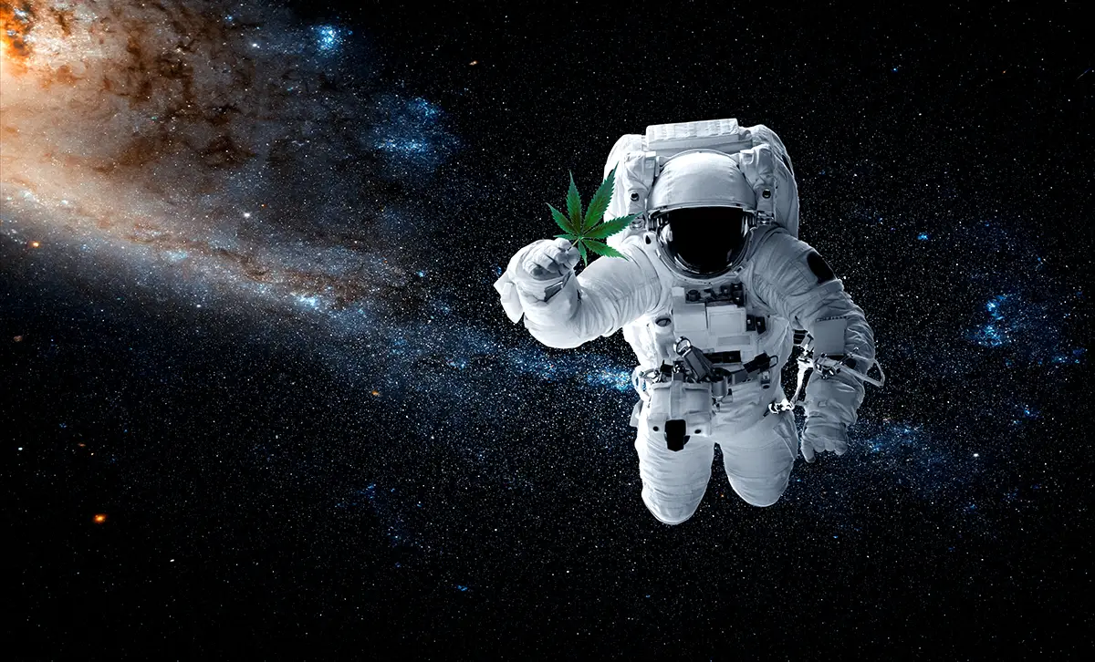 Astronaut in space suit floating in space holding a cannabis leaf