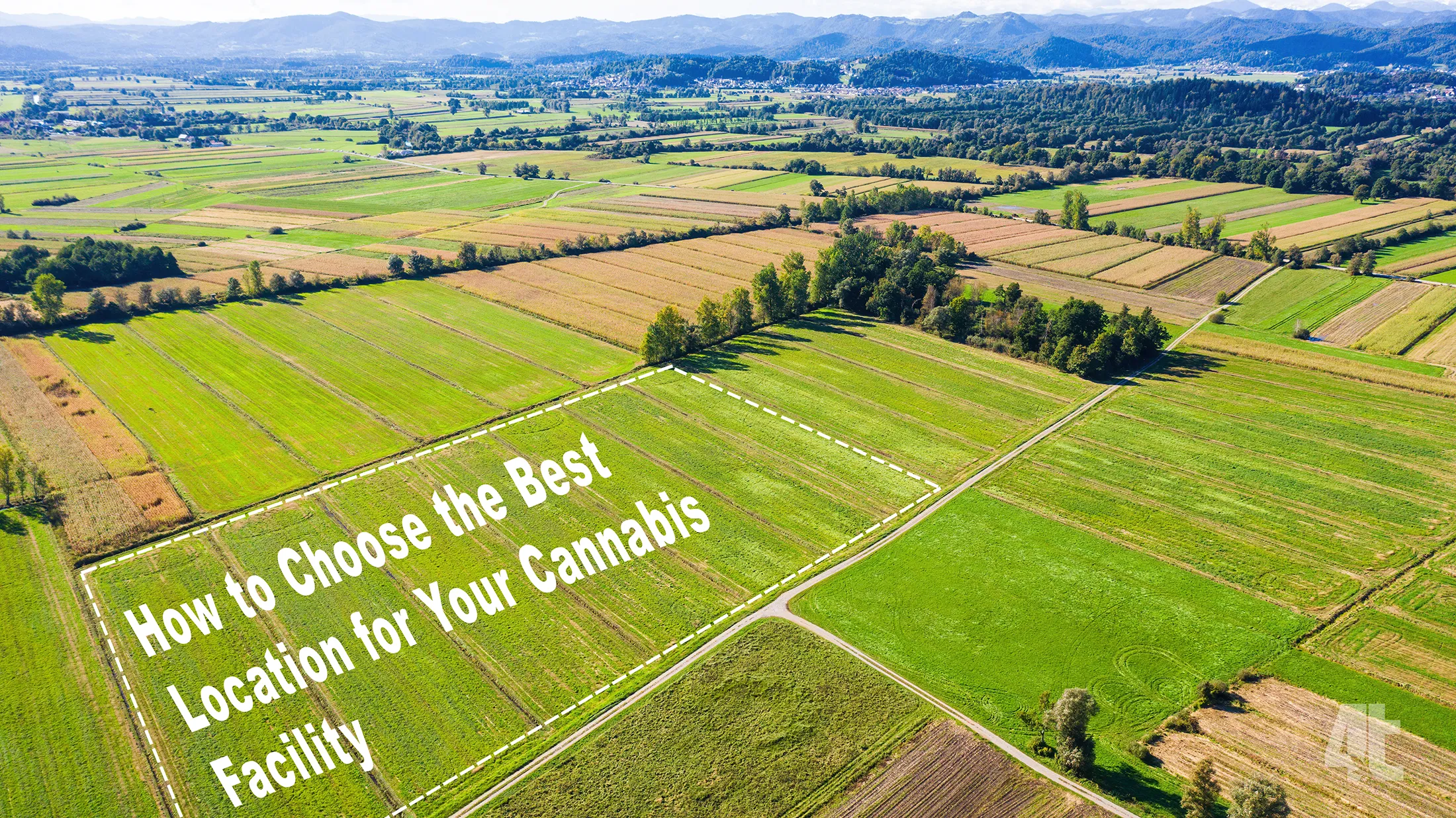 empty fields with writing that says "How to choose the best location for your cannabis facility"