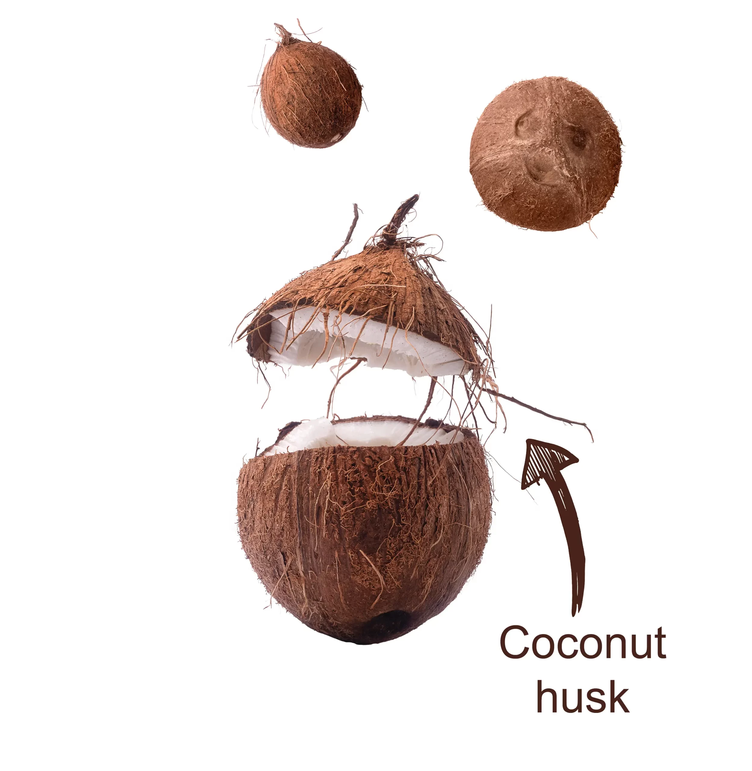 Coconut husk photo