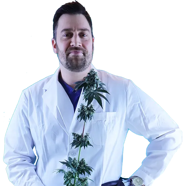 Owner of 4trees Cannabis Building Daniel Vaillancourt with hands on hips in white lab coat holding a cannabis plant